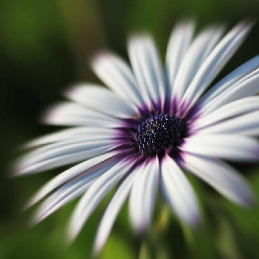 AIMG_2604